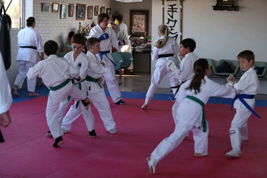 Karate Intermediate Te Ashi Kai Shin Karate Do