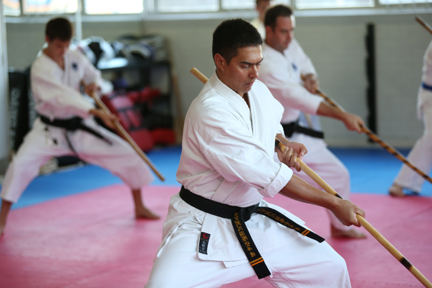 Karate Advanced Te Ashi Kai Shin Karate Do