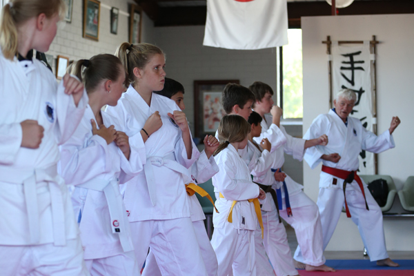 Karate Beginners 6yrs Up Te Ashi Kai Shin Karate Do